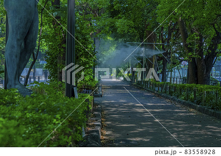 千鳥ケ淵戦没者墓苑「日本国政府が設置した戦没者慰霊施設」の歩道 千鳥ケ淵戦没者墓苑「日本国政府が設置した戦没者慰霊施設」の歩道 83558928