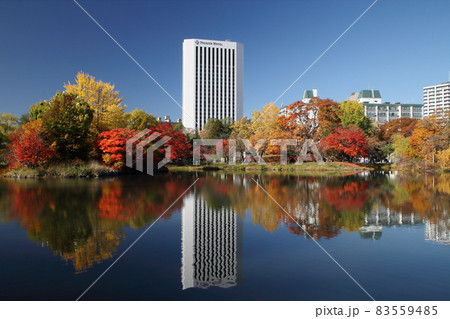 中島公園の紅葉 中島公園の紅葉 83559485