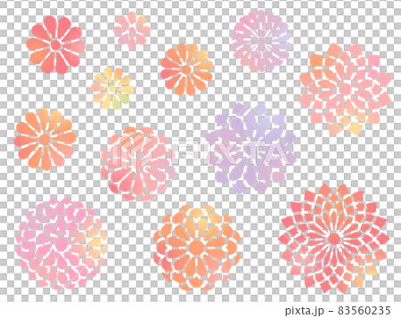 七彩手繪菊花圖集 83560235