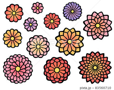 菊の手描き風イラストセットのイラスト素材