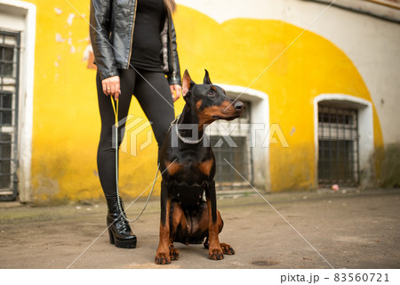 A girl in leather, with a Doberman, in an old yard. 83560721