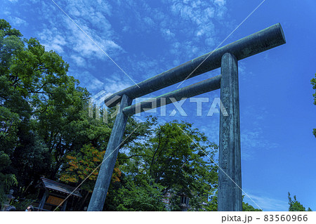 靖国神社(東京都千代田区九段北にある神社) 靖国神社(東京都千代田区九段北にある神社) 83560966