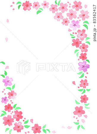 桜のハガキフレーム縦 83562417