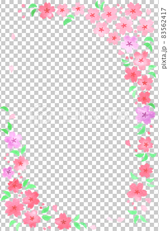 桜のハガキフレーム縦 83562417