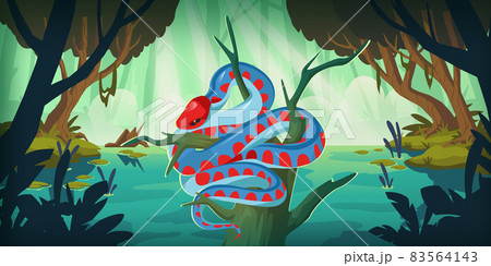 Snake San Francisco garter serpent in forest swamp Snake San Francisco garter serpent in forest swamp 83564143