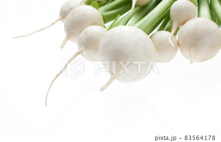新鮮な蕪 こかぶ 新鮮な蕪 こかぶ 83564178
