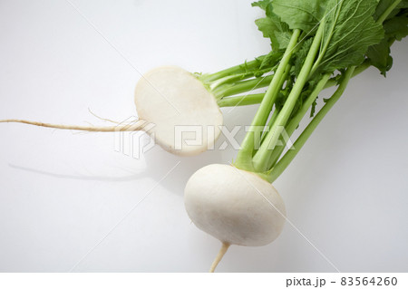 新鮮な蕪 こかぶ 新鮮な蕪 こかぶ 83564260