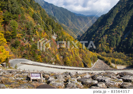 高瀬渓谷　迫力の高瀬ダムの美しい紅葉　長野県大町市 83564357