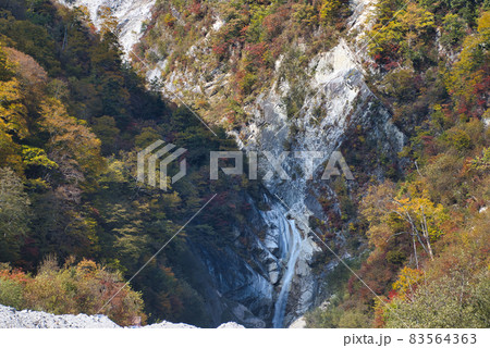 高瀬渓谷　美しい紅葉に包まれた濁沢の滝（白竜の滝）　長野県大町市 83564363