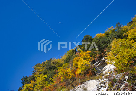 高瀬渓谷 美しい紅葉と青い空とジェット機 長野県大町市 高瀬渓谷 美しい紅葉と青い空とジェット機 長野県大町市 83564367