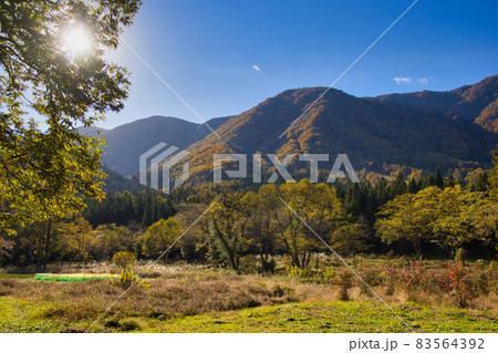 親海湿原の美しい紅葉 長野県白馬村 親海湿原の美しい紅葉 長野県白馬村 83564392