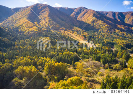 親海湿原から見る佐野坂の山々の美しい紅葉 長野県白馬村(ドローンによる空撮) 親海湿原から見る佐野坂の山々の美しい紅葉 長野県白馬村(ドローンによる空撮) 83564441