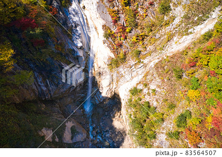 濁沢の滝（白竜の滝）と美しい紅葉　長野県大町市（ドローンによる空撮） 83564507