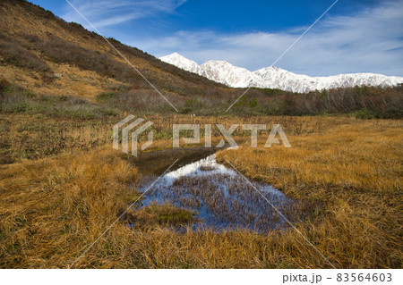 美しい紅葉に包まれた黒菱平と冠雪した白馬三山 八方尾根自然研究路 長野県白馬村 美しい紅葉に包まれた黒菱平と冠雪した白馬三山 八方尾根自然研究路 長野県白馬村 83564603