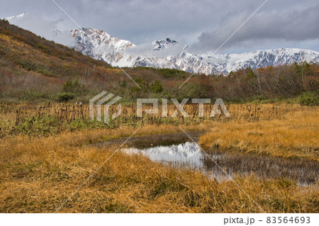 美しい紅葉に包まれた黒菱平と冠雪した白馬三山　八方尾根自然研究路　長野県白馬村 83564693