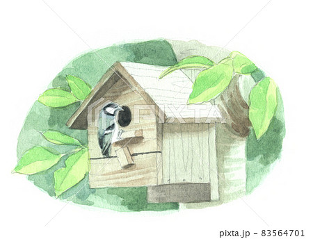 水彩：小鳥巣箱のイラスト素材 [83564701] - PIXTA