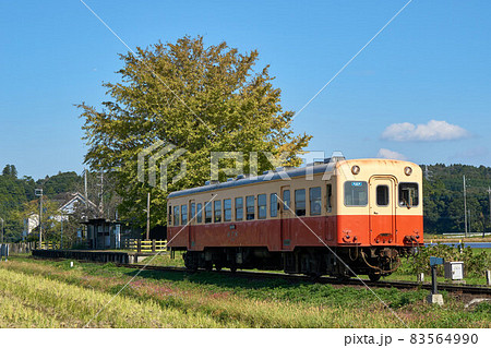 大銀杏とレトロ列車 小湊鉄道 上総久保駅 大銀杏とレトロ列車 小湊鉄道 上総久保駅 83564990