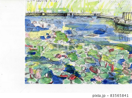 台原森林公園　水彩スケッチ画 83565841
