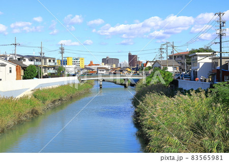 名古屋市瑞穂区南区 山崎川に架かる呼続橋から眺める風景 名古屋市瑞穂区南区 山崎川に架かる呼続橋から眺める風景 83565981