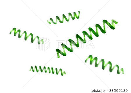 スピルリナを顕微鏡でみたイメージ　白背景 83566180