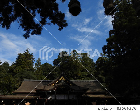 大神神社 大神神社 83566376