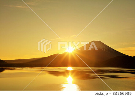 謹賀新年　富士山と初日の出 83566989