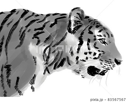 水墨画風の虎の横顔のイラスト素材