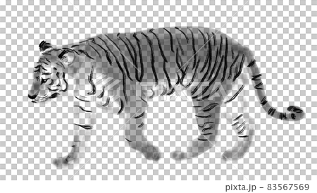 水墨画風 虎の全身 横向きのイラスト素材 [83567569] - PIXTA