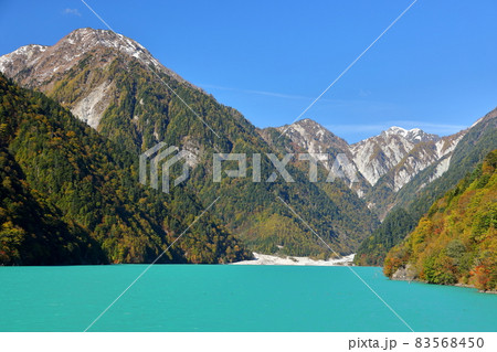 長野県大町市平　エメラルドグリーンの高瀬ダム調整湖の紅葉と後ろにそびえる冠雪した山々 83568450