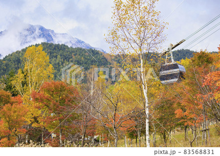 紅葉見頃な新穂高ロープウェイしらかば平駅界隈 83568831