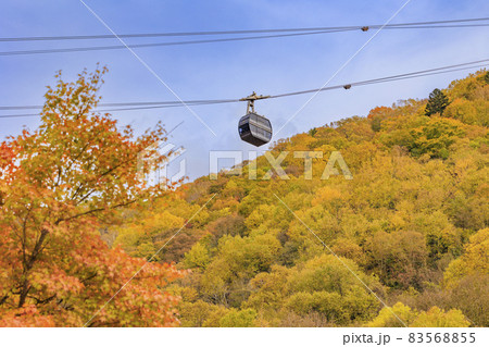 紅葉見頃な新穂高ロープウェイしらかば平駅界隈 紅葉見頃な新穂高ロープウェイしらかば平駅界隈 83568855