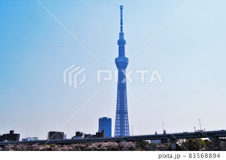 春の東京スカイツリー 春の東京スカイツリー 83568894