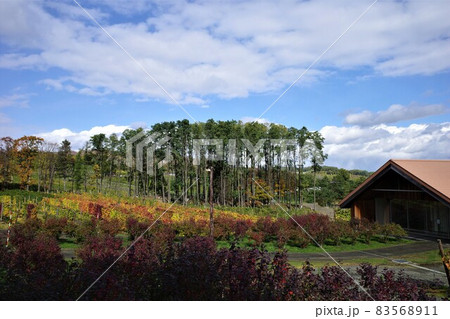 カンパーナ六花亭から見る富良野の秋の風景 カンパーナ六花亭から見る富良野の秋の風景 83568911