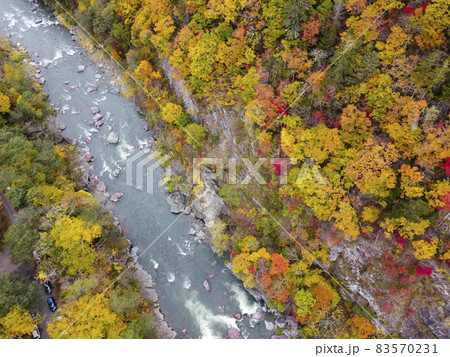 空撮 赤岩青巌峡の紅葉（北海道 占冠） 83570231