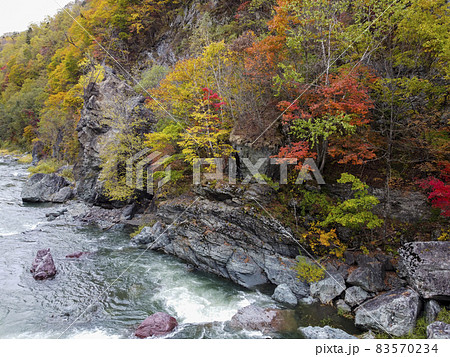 空撮 赤岩青巌峡の紅葉（北海道 占冠） 83570234