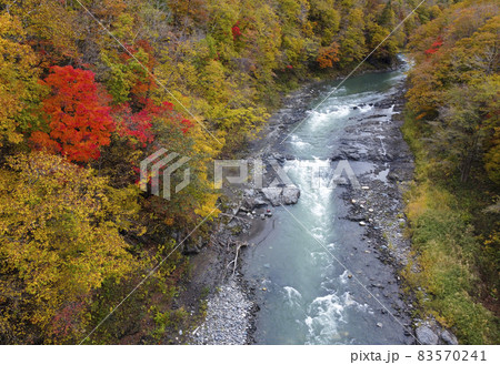 空撮 沙流川渓谷の紅葉（北海道 日高） 83570241
