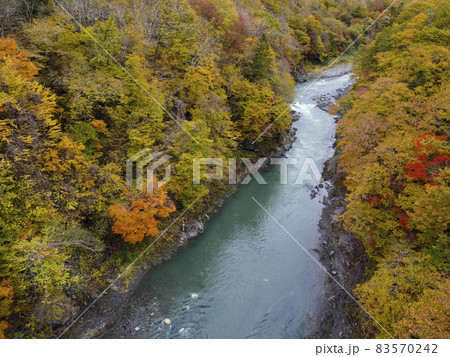 空撮 沙流川渓谷の紅葉(北海道 日高) 空撮 沙流川渓谷の紅葉(北海道 日高) 83570242