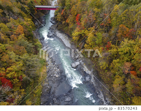 空撮 沙流川渓谷の紅葉(北海道 日高) 空撮 沙流川渓谷の紅葉(北海道 日高) 83570243