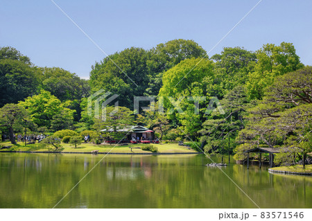 東京都　六義園　（りくぎえん）　吹上茶屋付近　特別名勝 83571546
