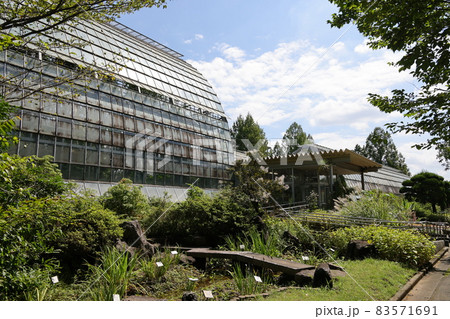 さいたま市緑区大崎のさいたま市園芸植物園 83571691