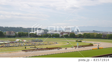 競馬 東京競馬場 競馬 東京競馬場 83571914