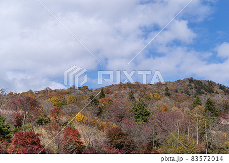 秋の茶臼山高原 83572014
