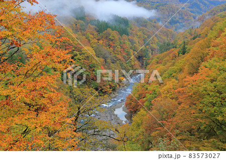 秋山郷の秋 東秋山林道から見下ろす中津川渓谷 秋山郷の秋 東秋山林道から見下ろす中津川渓谷 83573027