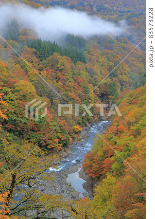 秋山郷の秋 東秋山林道から見下ろす中津川渓谷 秋山郷の秋 東秋山林道から見下ろす中津川渓谷 83573228