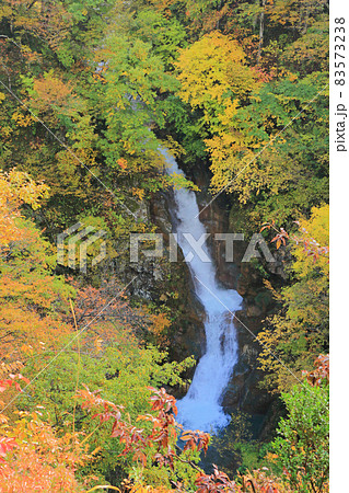 秋山郷の秋 蛇淵の滝 83573238
