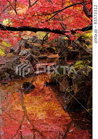 紅葉風景(公園の朝) 紅葉風景(公園の朝) 83573312