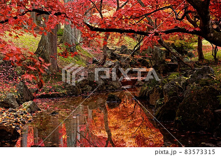 紅葉風景（公園の朝） 83573315