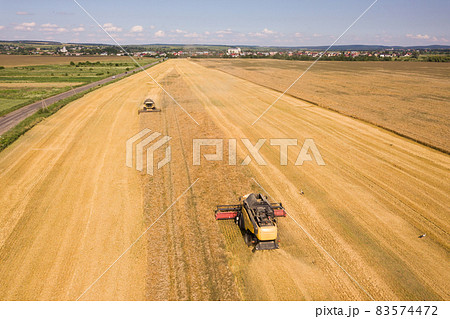 Aerial view of combine harvesters harvesting large yellow ripe wheat field. Aerial view of combine harvesters harvesting large yellow ripe wheat field. 83574472
