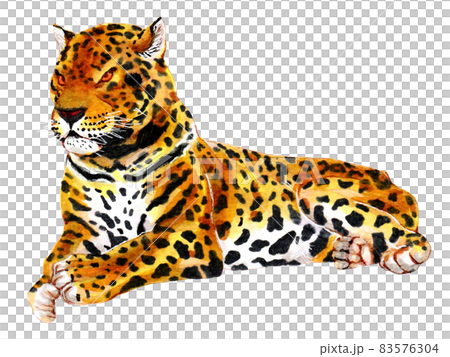 手描き動物図鑑 ジャガー 手描き動物図鑑 ジャガー 83576304