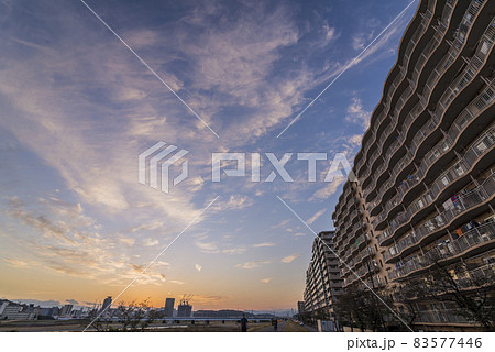 多摩川のマンション　夜景　夕焼け  マンション 83577446